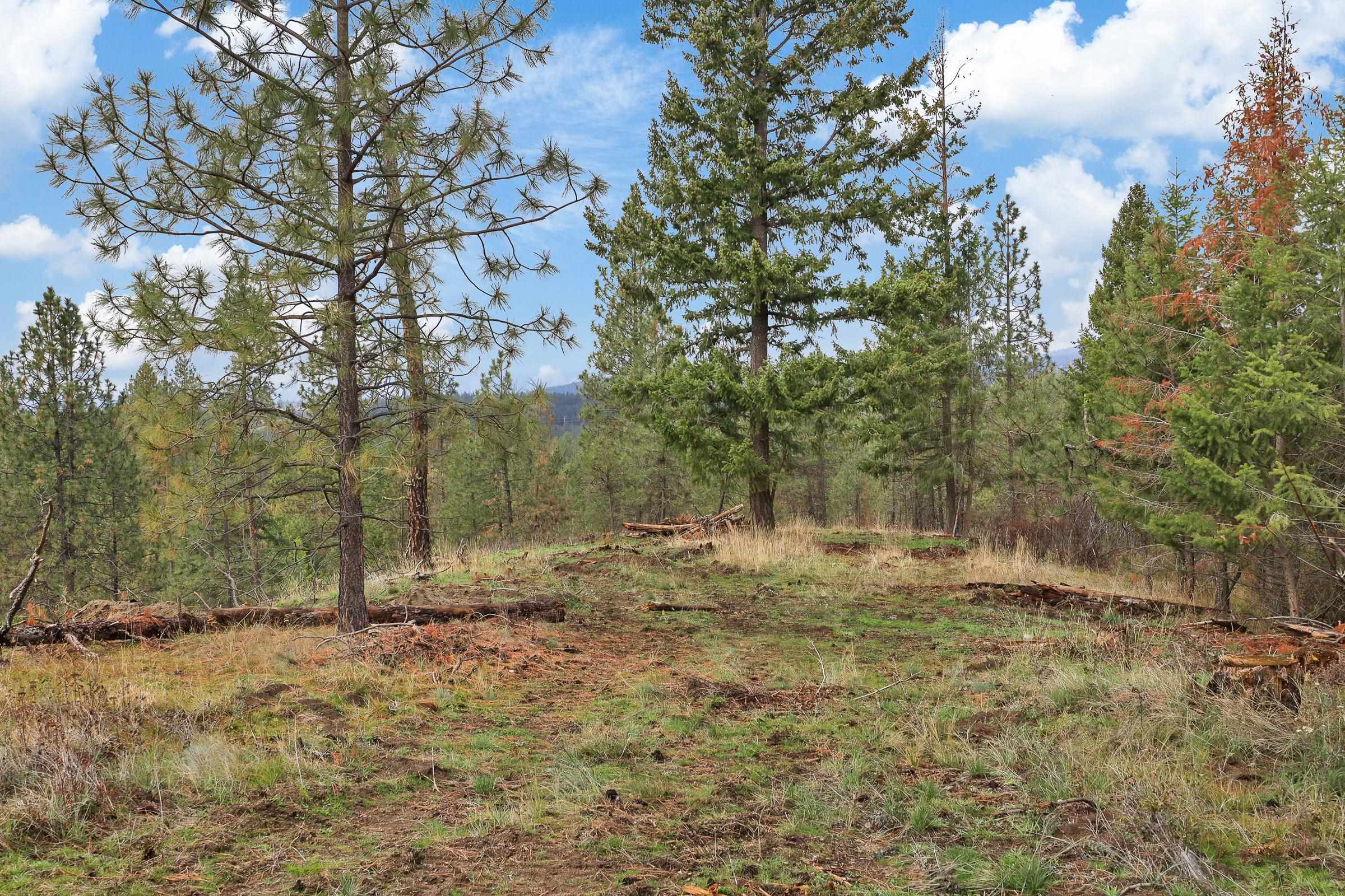 Nka Weaver Road, Unit LOT 4 OF LOT 2 Deer Park, WA 99006 - Photo 9 of 15