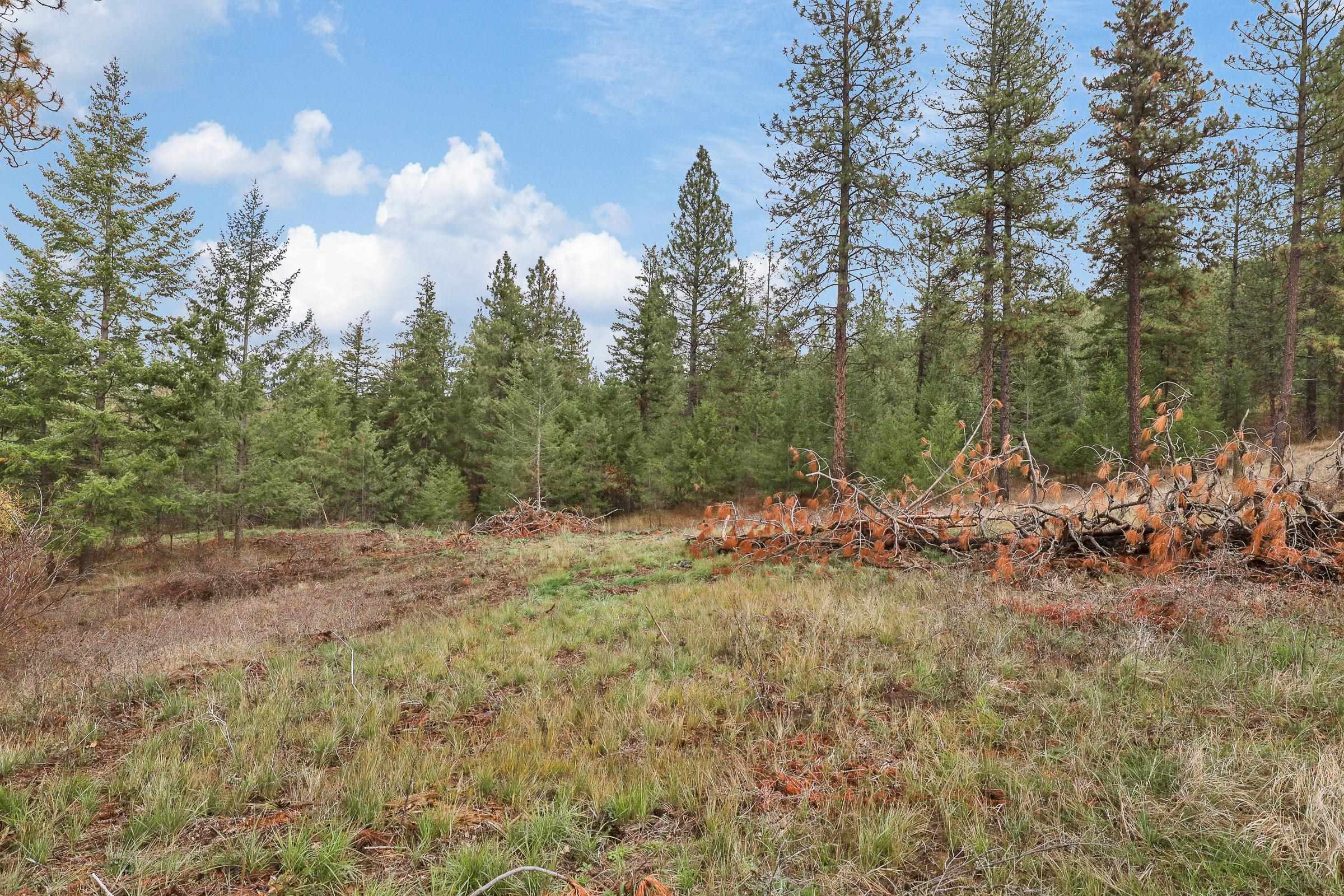 Nka Weaver Road, Unit LOT 4 OF LOT 2 Deer Park, WA 99006 - Photo 10 of 15