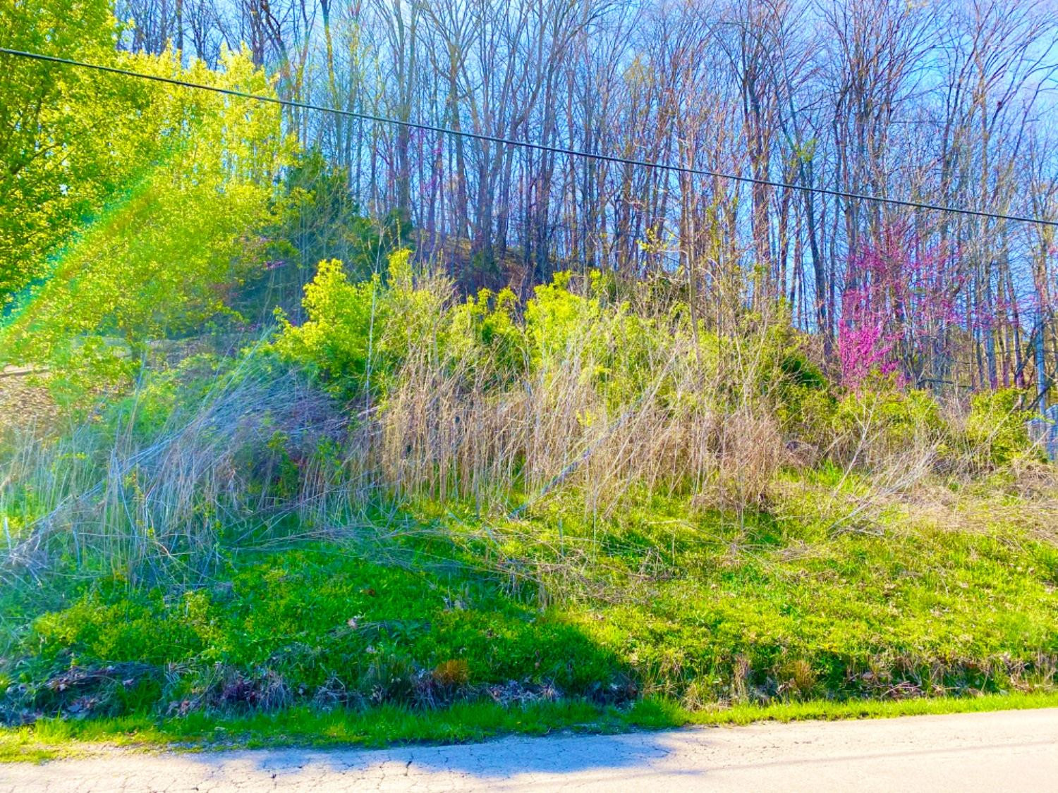 999 Barnett Road Brodhead, KY 40409 - Photo 5 of 11 Photo 5