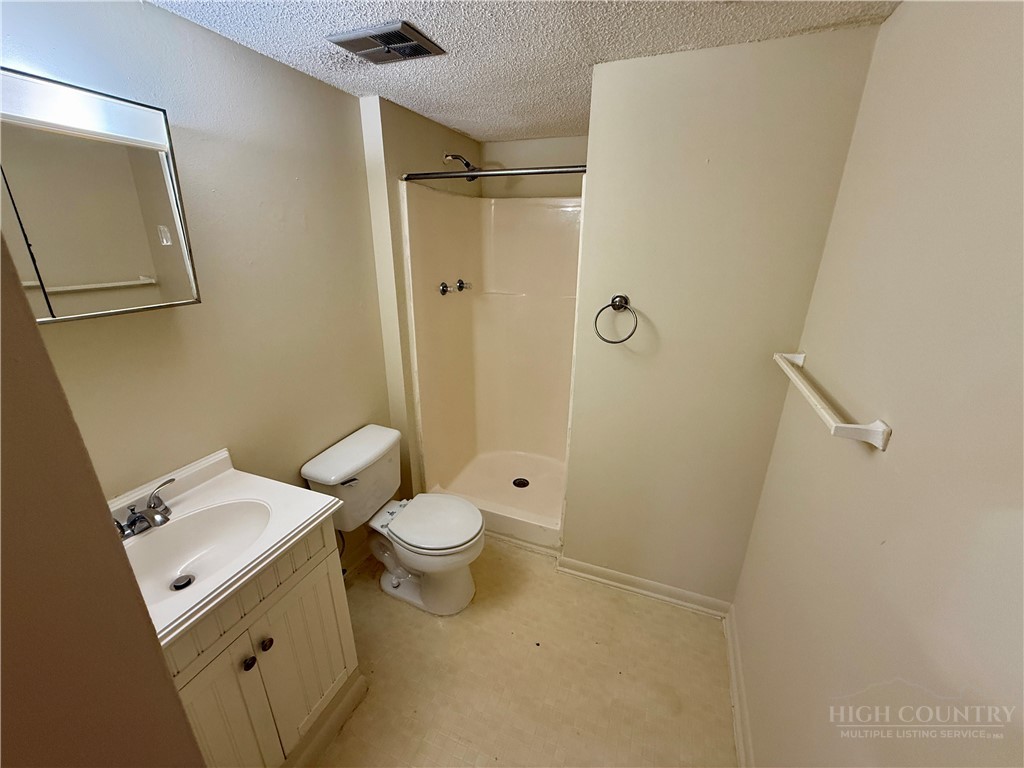 229 East King Street, Unit 30 Boone, NC 28607 - Photo 17 of 19 a bathroom with a toilet sink and shower