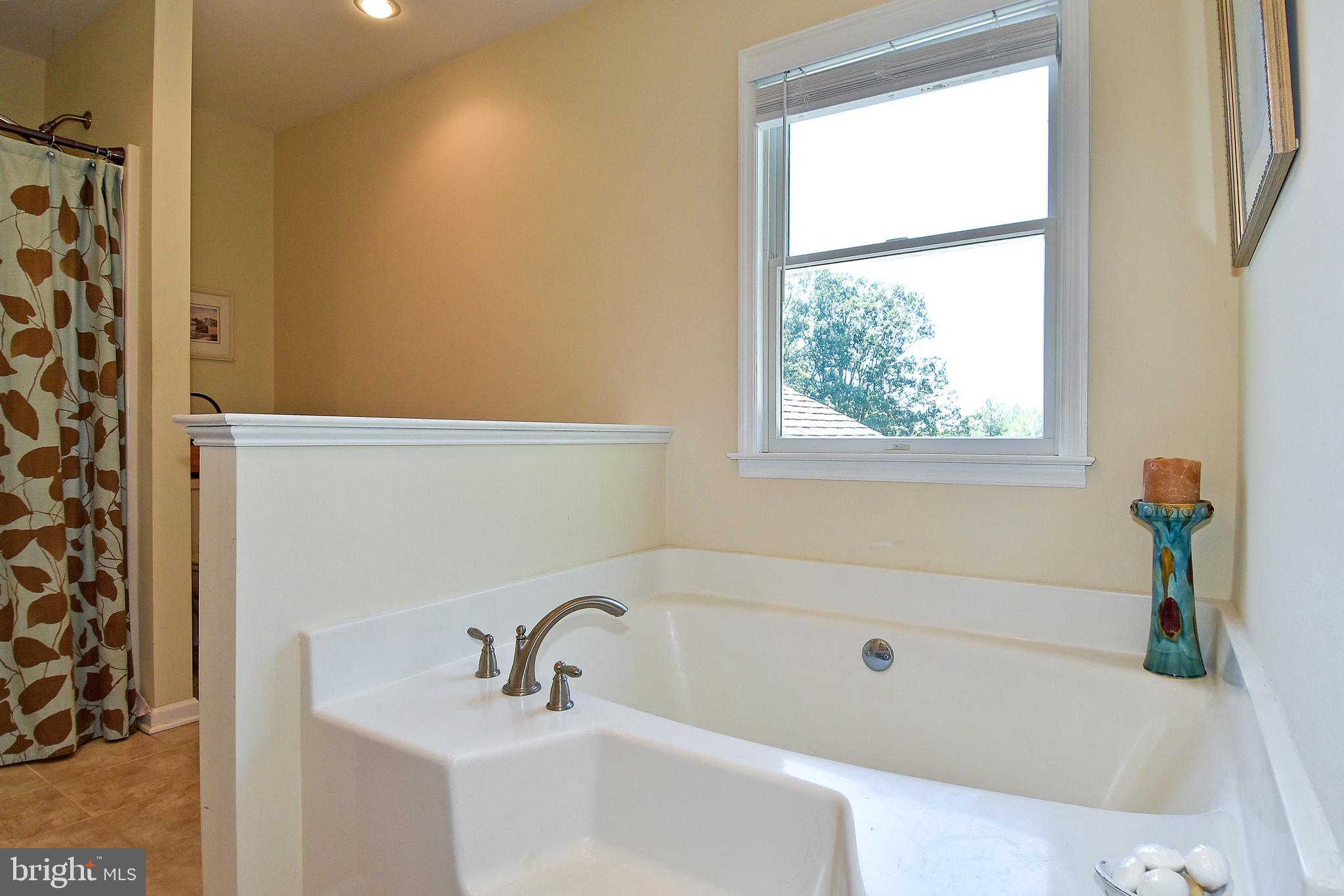 18106 Canby Road Leesburg, VA 20175 - Photo 45 of 65 Master Bathroom with soaking tub and shower stall
