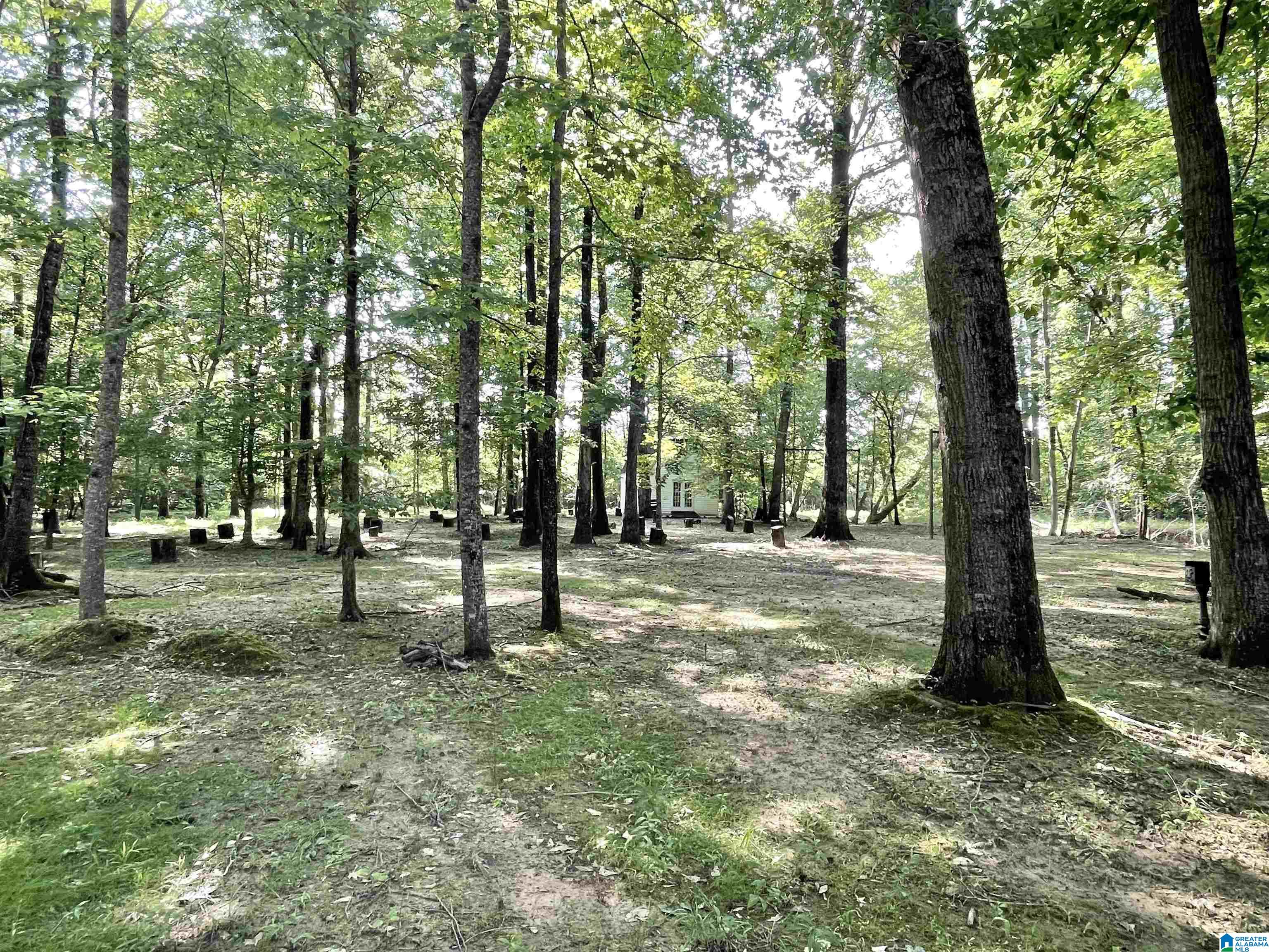 117 Hunset Mill Lane Pelham, AL 35124 - Photo 49 of 59