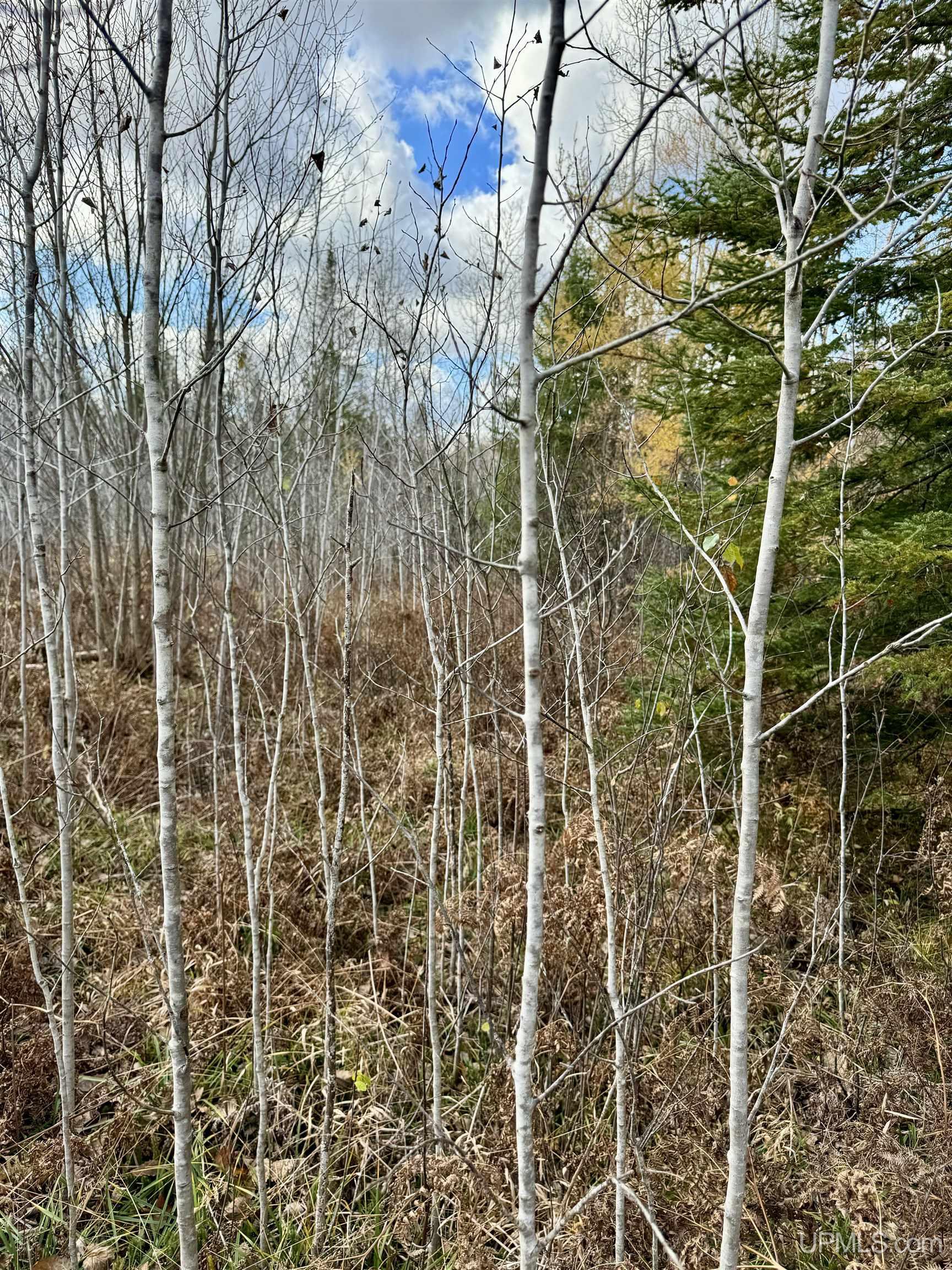 27.5 Rd 52 Ac Trail Gladstone, MI 49837 - Photo 9 of 20