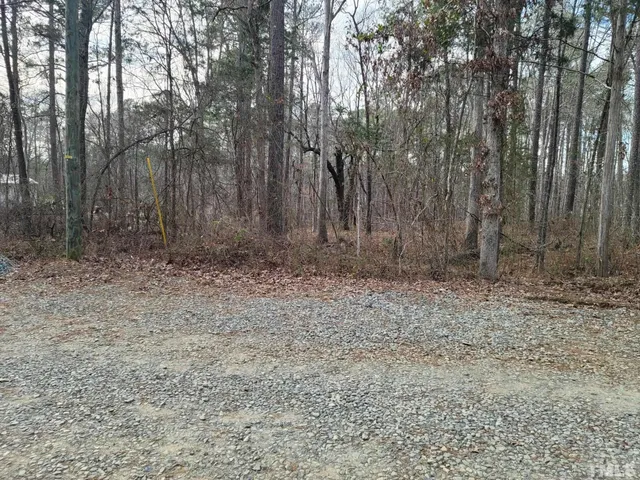 a view of backyard with trees