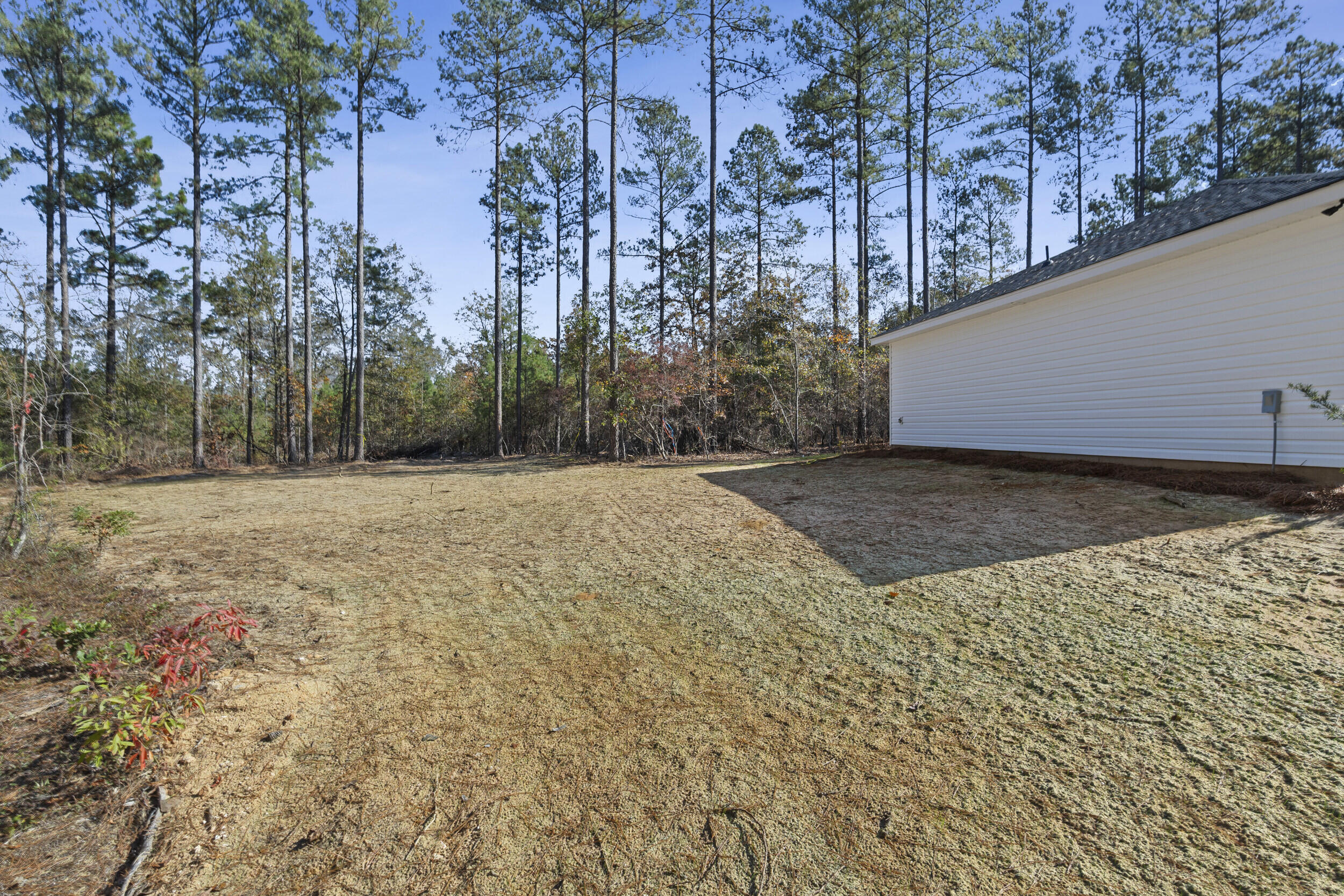 1119 Fox Young Road Wagener, SC 29164 - Photo 21 of 23