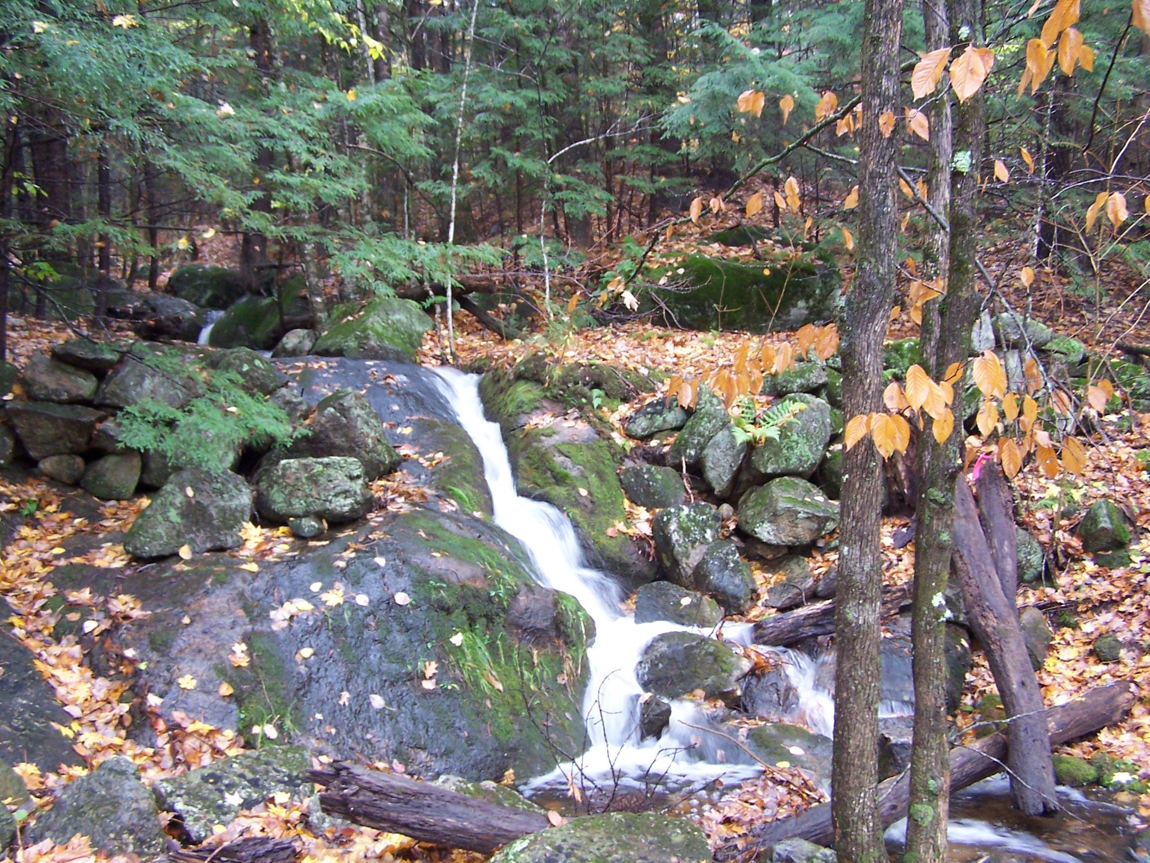 194 Rowe Mountain Road Bradford, NH 03221 - Photo 1 of 6