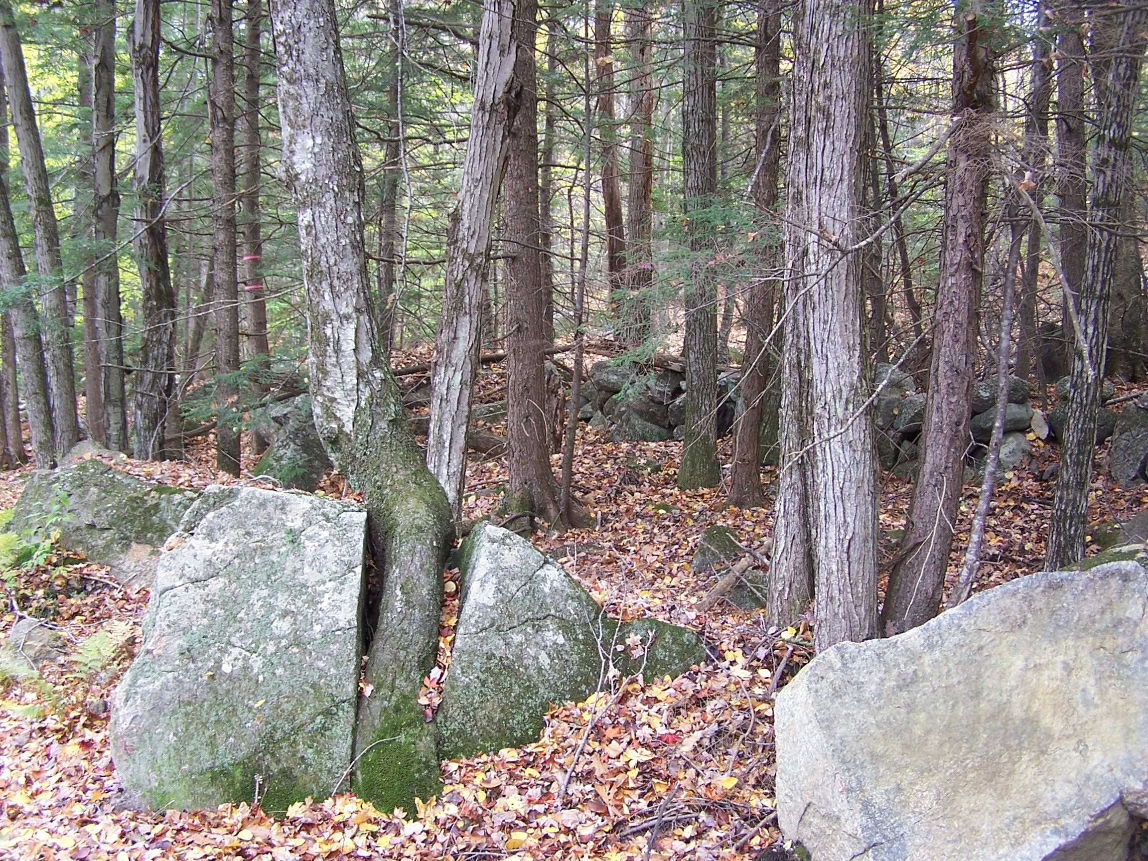 194 Rowe Mountain Road Bradford, NH 03221 - Photo 4 of 6