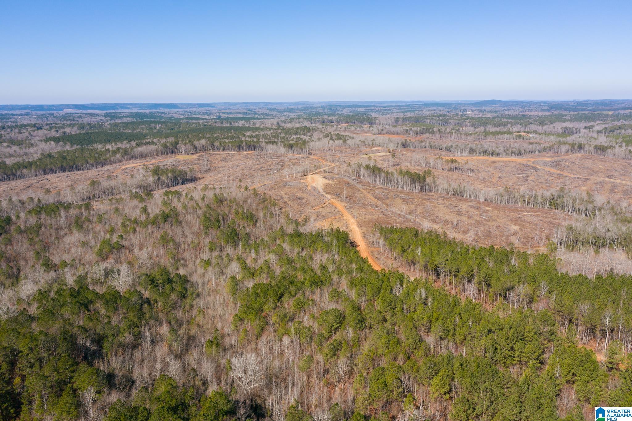 0 Harless Road Northport, AL 35475 - Photo 14 of 34