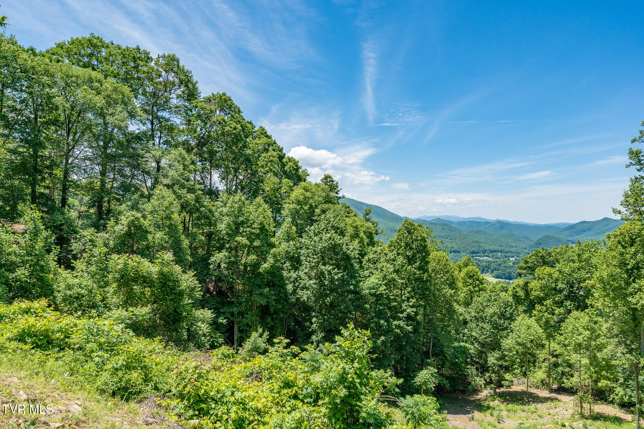 3 Ridgetop Lane, Unit 3 Unicoi, TN 37692 - Photo 4 of 20 Lot 2 Ridgetop Ln (40 of 47)