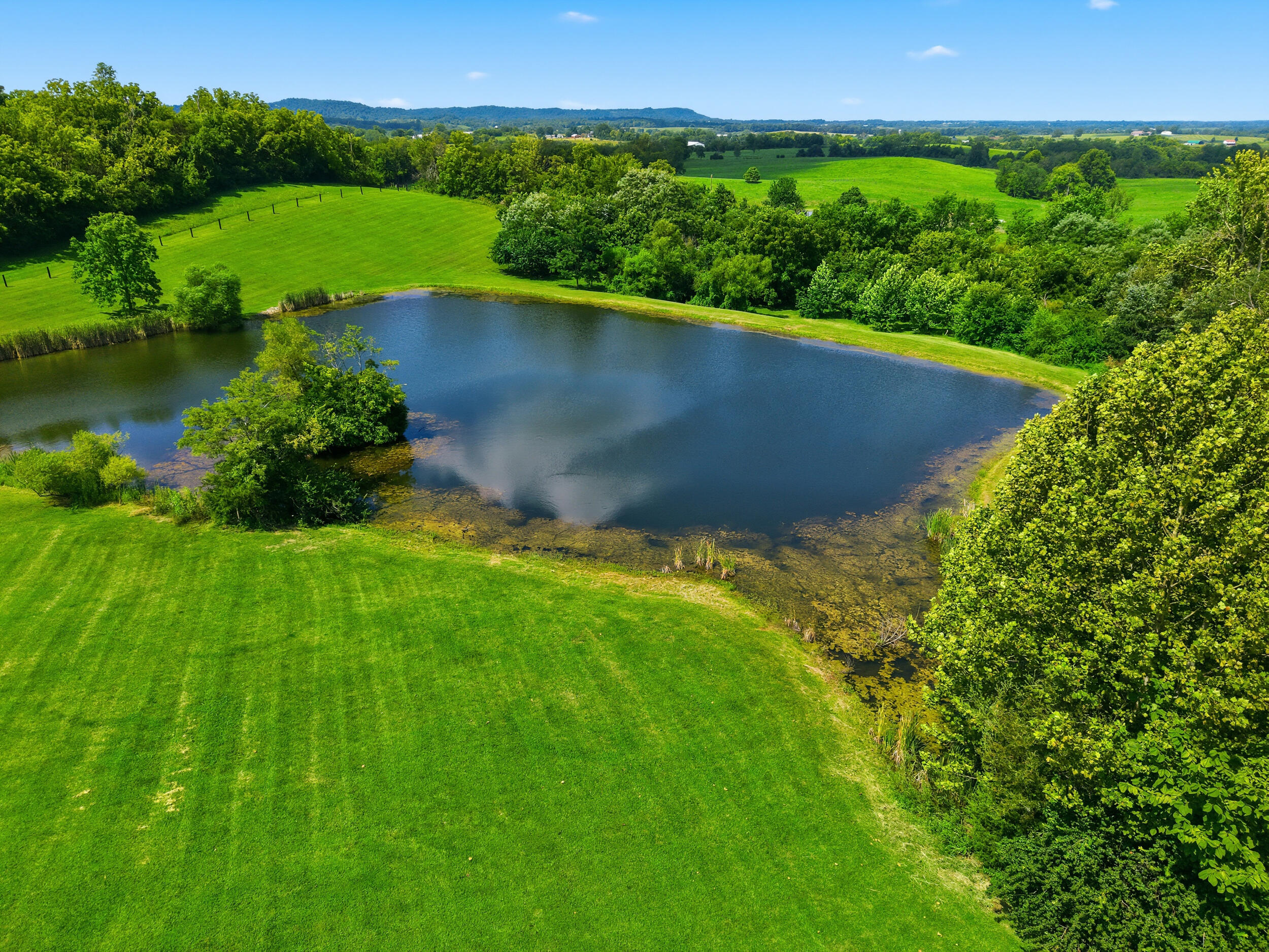 1259 Quarry Road Danville, KY 40422 - Photo 54 of 56 51_dji_fly_20260731_120326_0134_17855143
