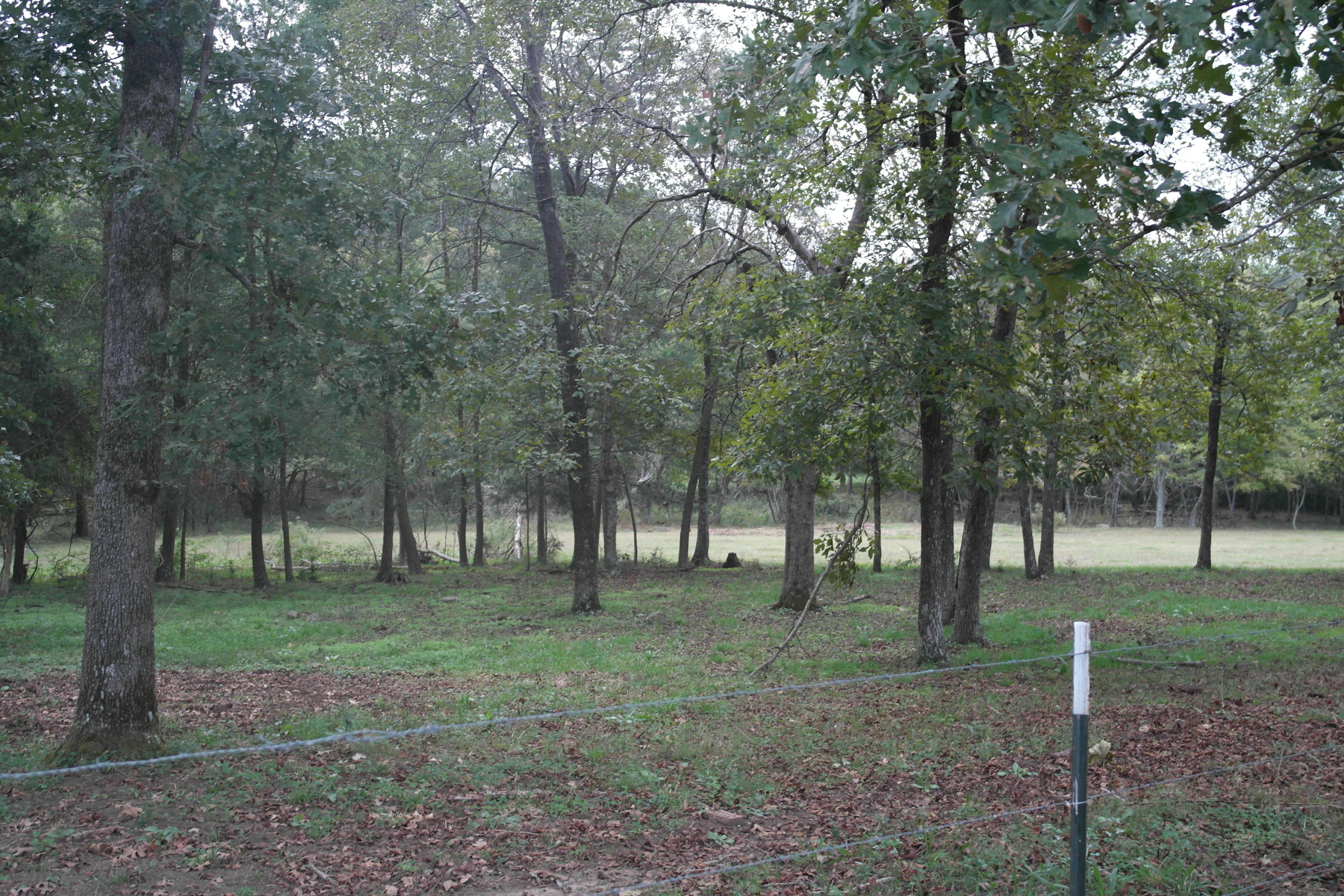 568 District Line Road Trenton, GA 30752 - Photo 9 of 33 SAM_2461