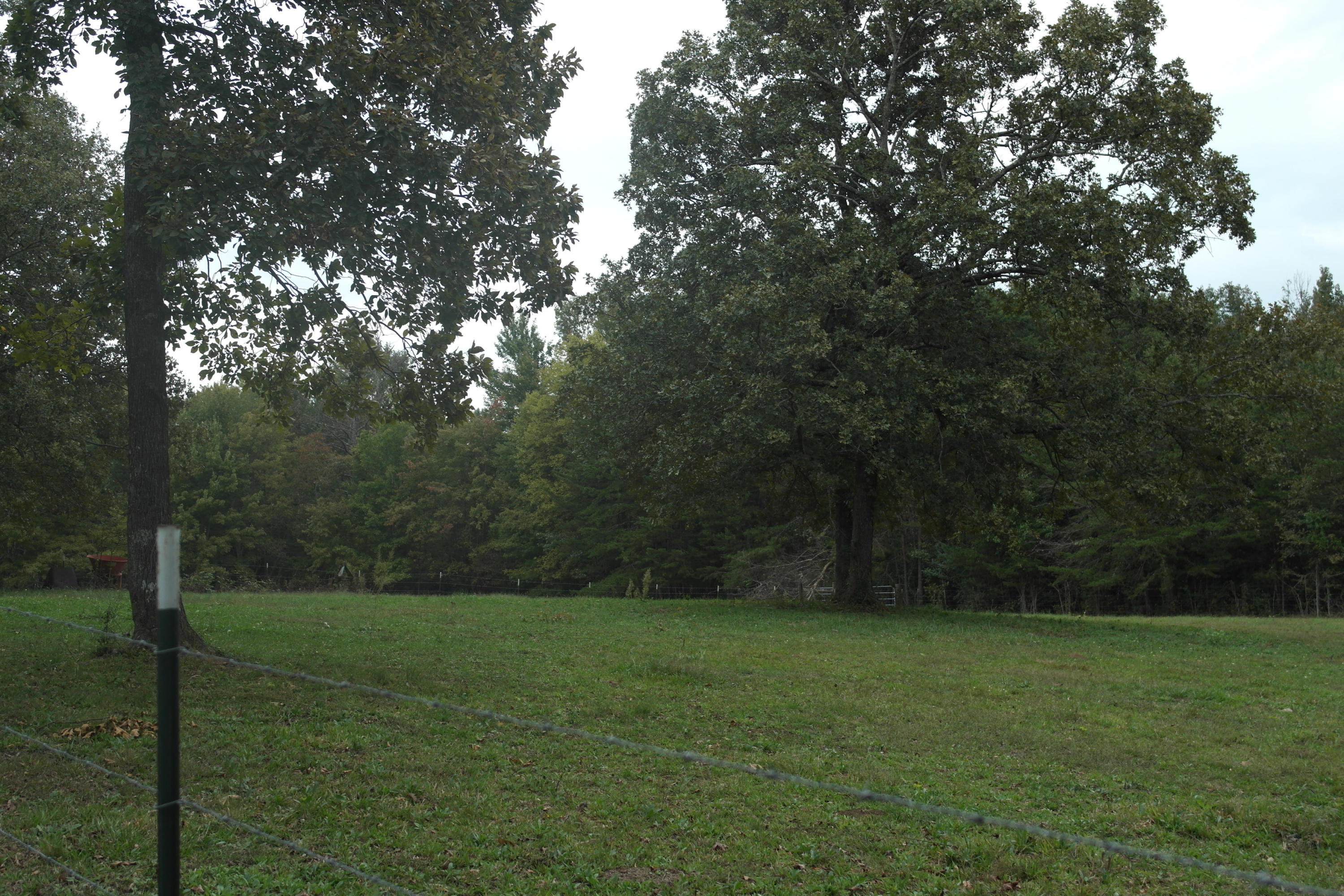 568 District Line Road Trenton, GA 30752 - Photo 10 of 33 SAM_2463