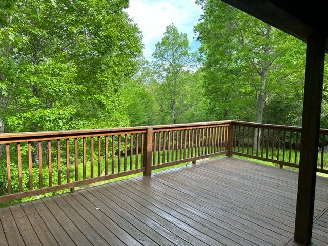 225 Ridge Line Trail Independence, VA 24348 - Photo 19 of 45 Gallery Image 19