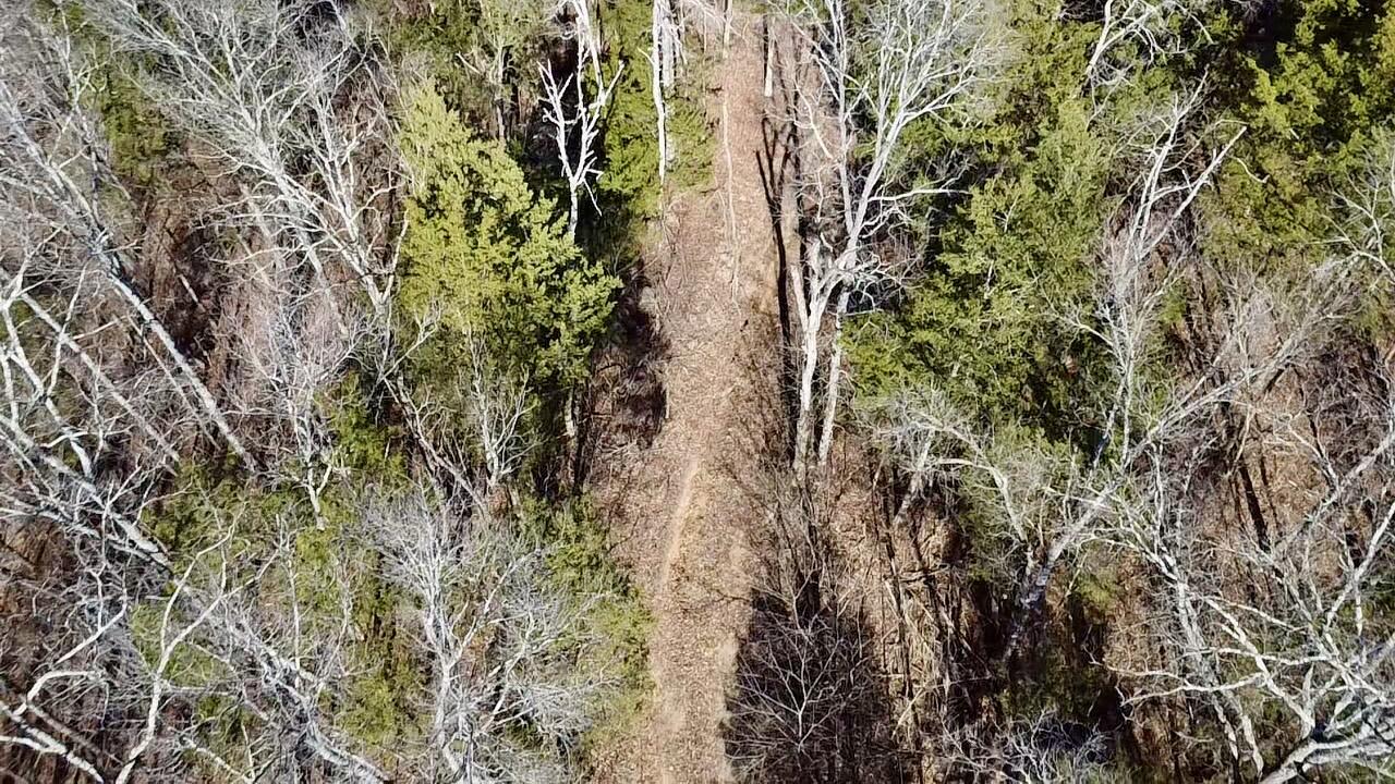 537 Cates Lane Northeast Charleston, TN 37310 - Photo 3 of 10 2026-01-16-14-14-08-032