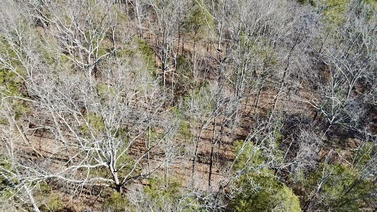 537 Cates Lane Northeast Charleston, TN 37310 - Photo 4 of 10 2026-01-16-14-14-38-474