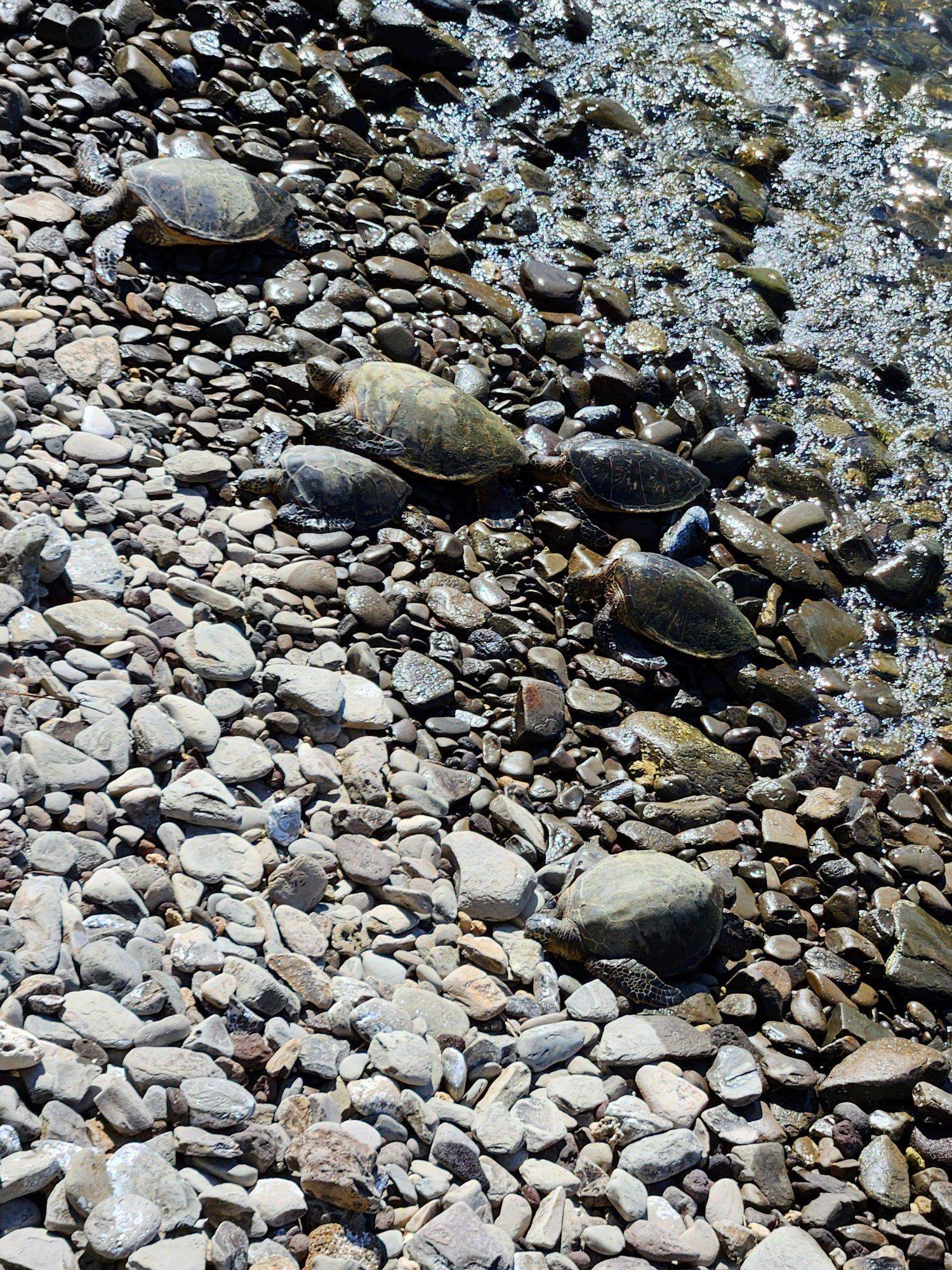 5255 Lower Honoapiilani Road, Unit 119 Lahaina, HI 96761 - Photo 13 of 22