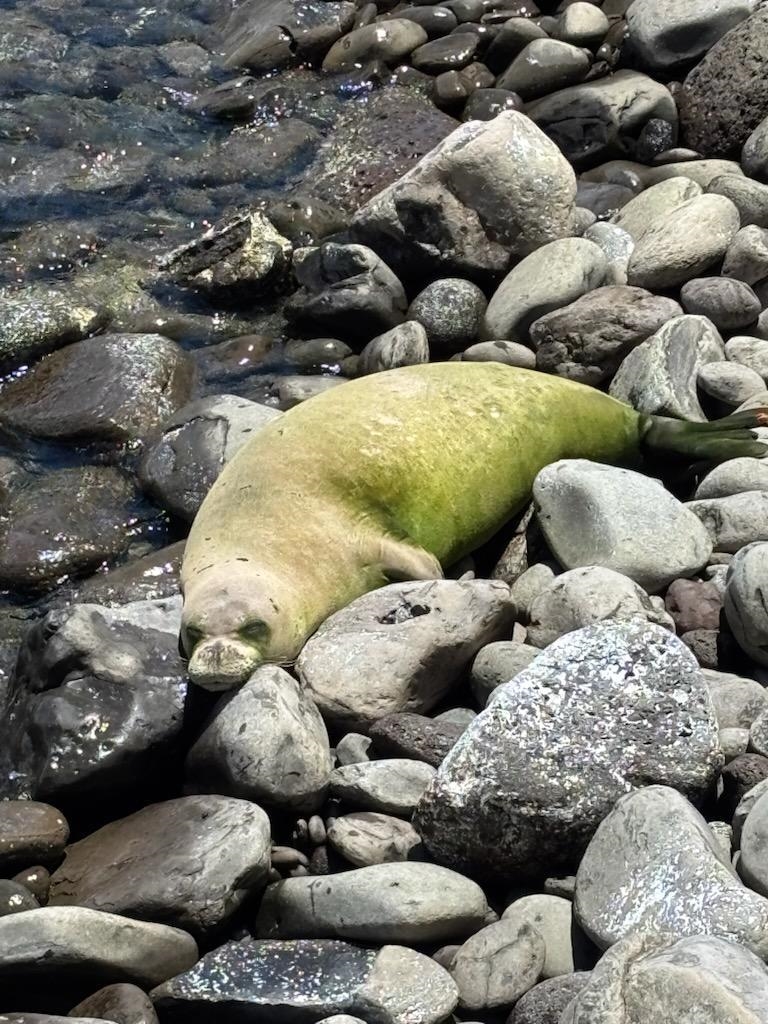 5255 Lower Honoapiilani Road, Unit 119 Lahaina, HI 96761 - Photo 22 of 22