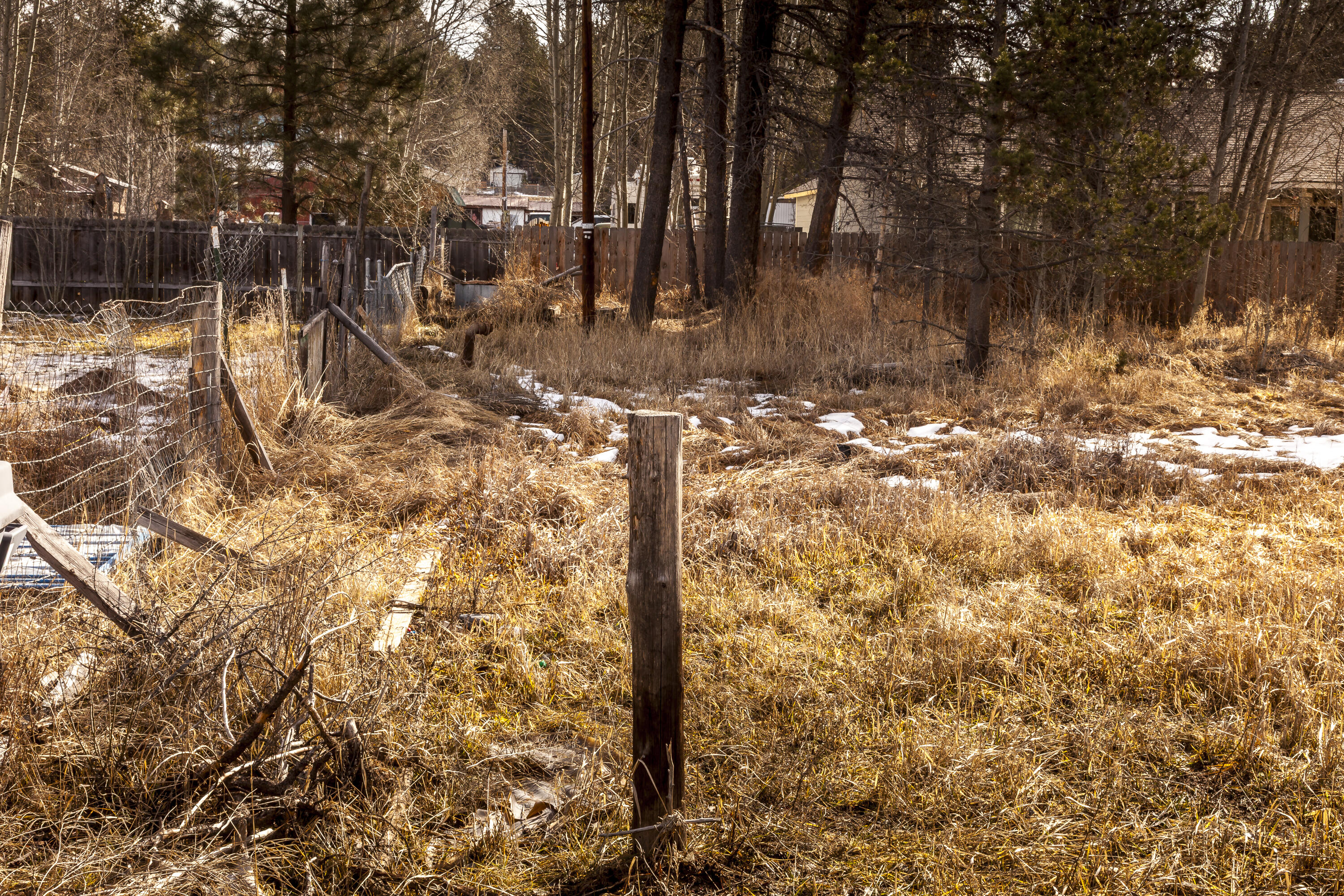 0 Main Street Crescent, OR 97733 - Photo 2 of 14 a view of a yard with trees