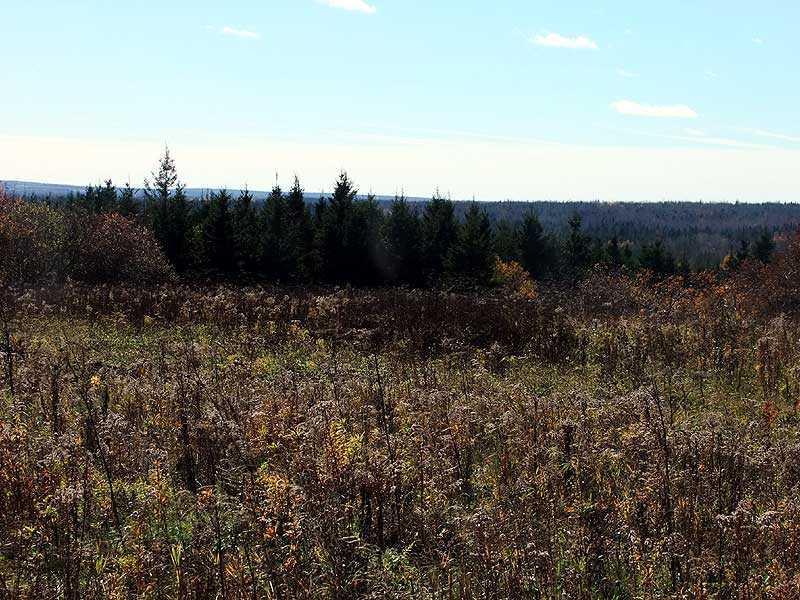 12-29 Lincoln Road Houlton, ME 04730 - Photo 22 of 25 Land.