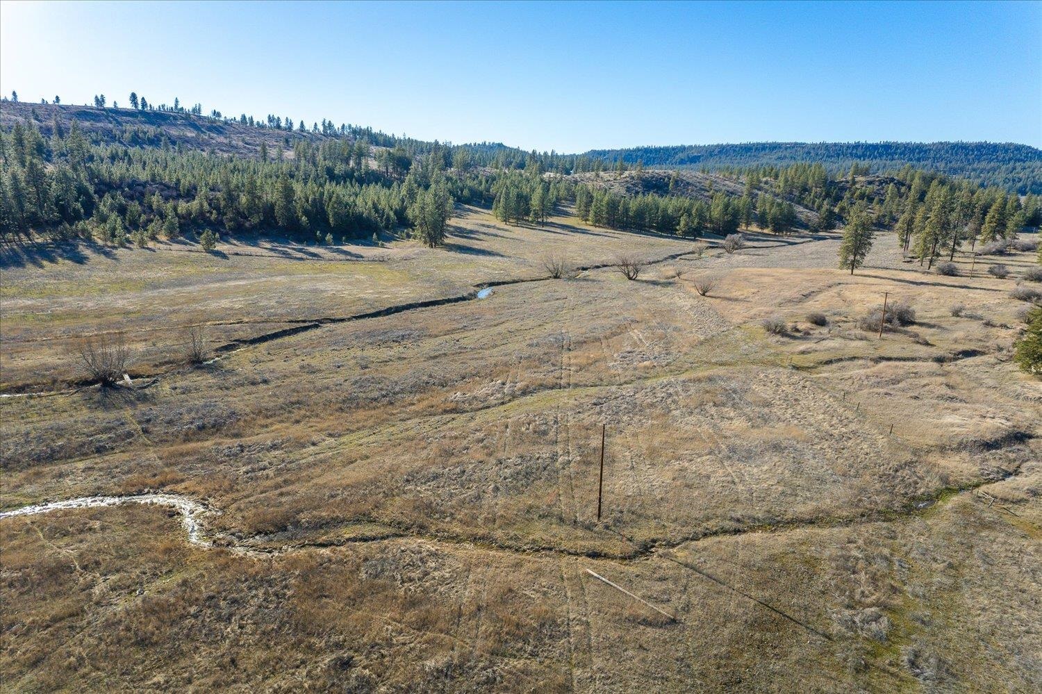 0 East Fisher Road Reardan, WA 99029 - Photo 14 of 20 Gallery Image 14