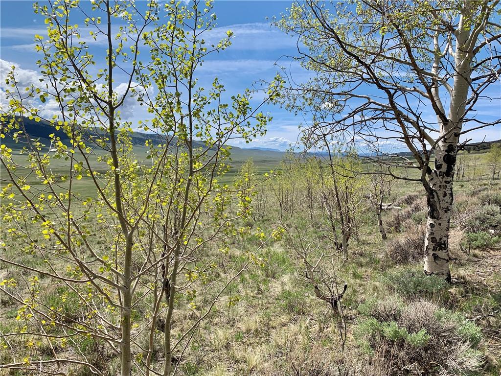 Tbd Redhill Road Fairplay, CO 80440 - Photo 11 of 21 Gallery Image 11