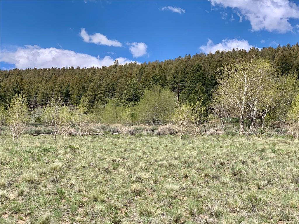 Tbd Redhill Road Fairplay, CO 80440 - Photo 13 of 21 Gallery Image 13