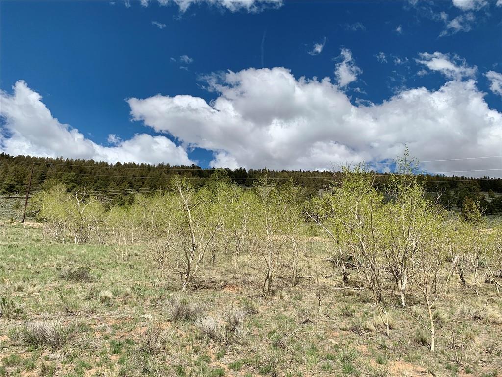 Tbd Redhill Road Fairplay, CO 80440 - Photo 17 of 21 Gallery Image 17