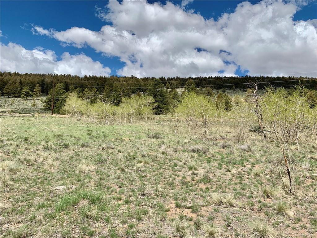 Tbd Redhill Road Fairplay, CO 80440 - Photo 20 of 21 Gallery Image 20