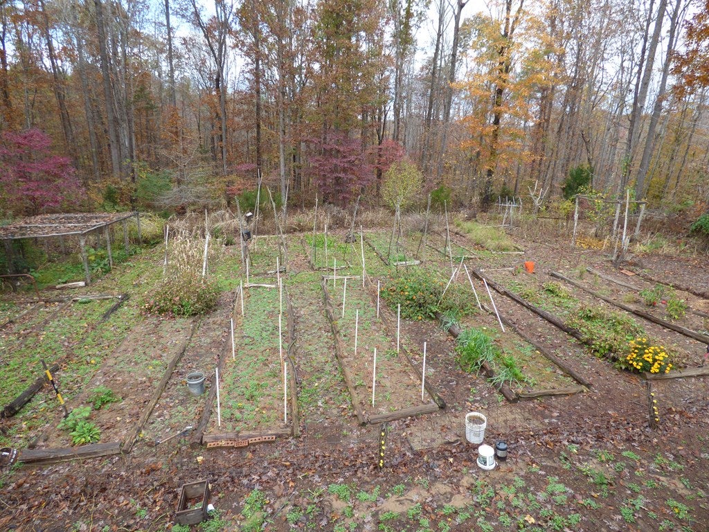 297 Legrande Road Dillwyn, VA 23936 - Photo 52 of 65 Gallery Image 52