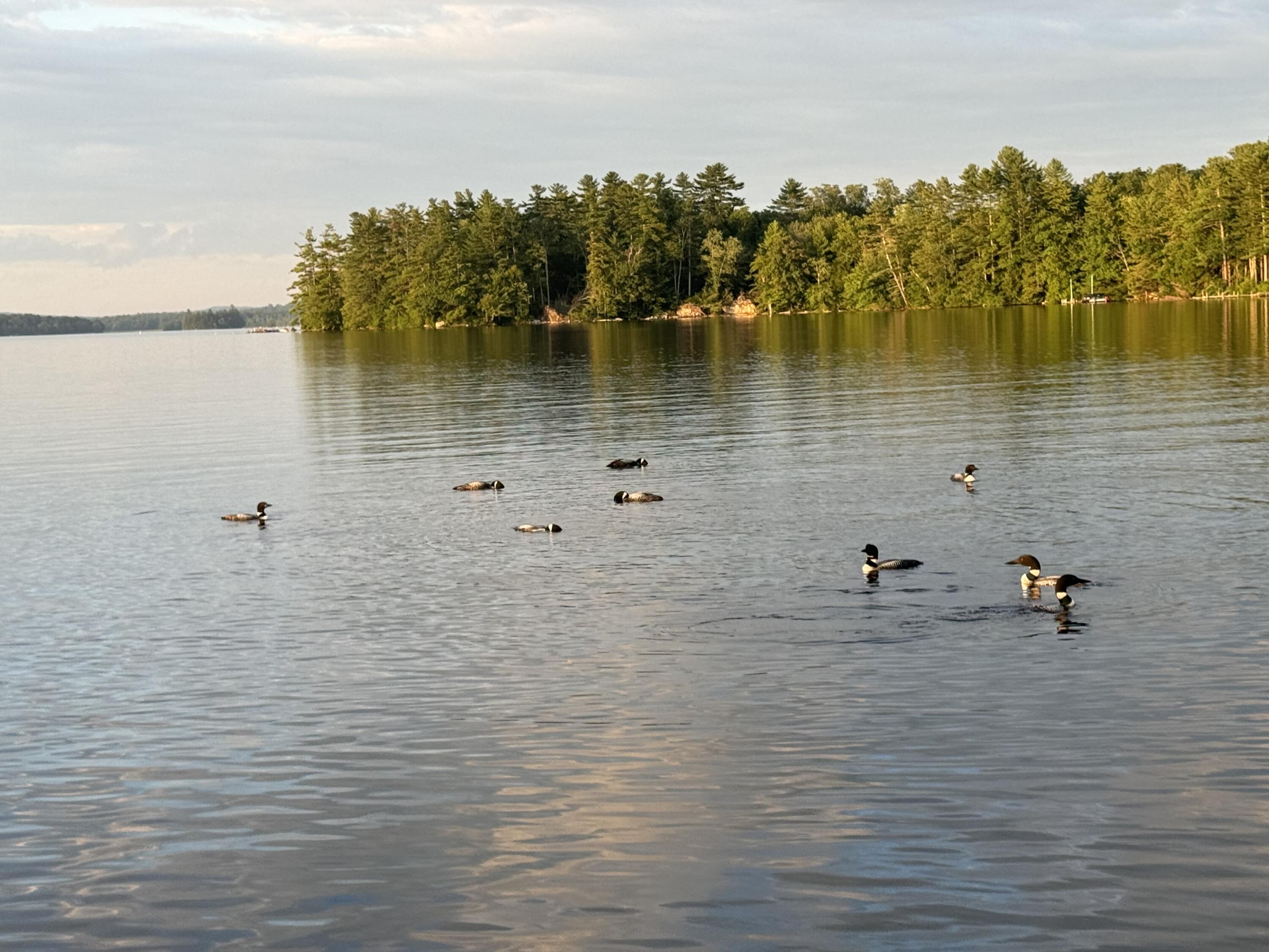 74 Maple Ridge Drive Monmouth, ME 04259 - Photo 3 of 10 IMG_0634