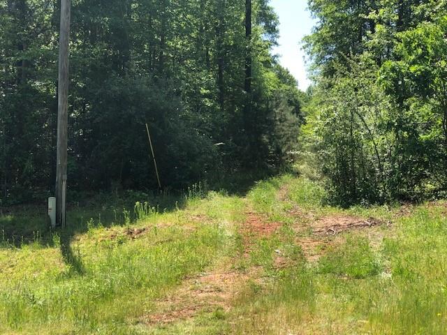44 Lamar Cooper Road Braselton, GA 30517 - Photo 1 of 1 Gallery Image 1
