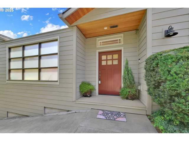 a view of a backyard with potted plants