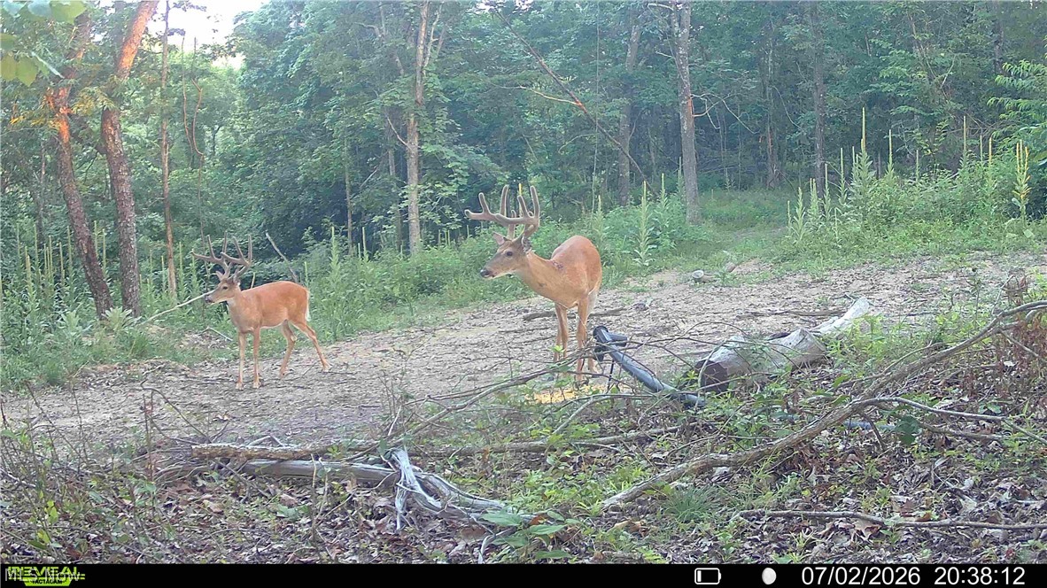 Hill Road Portsmouth, OH 45662 - Photo 19 of 47
