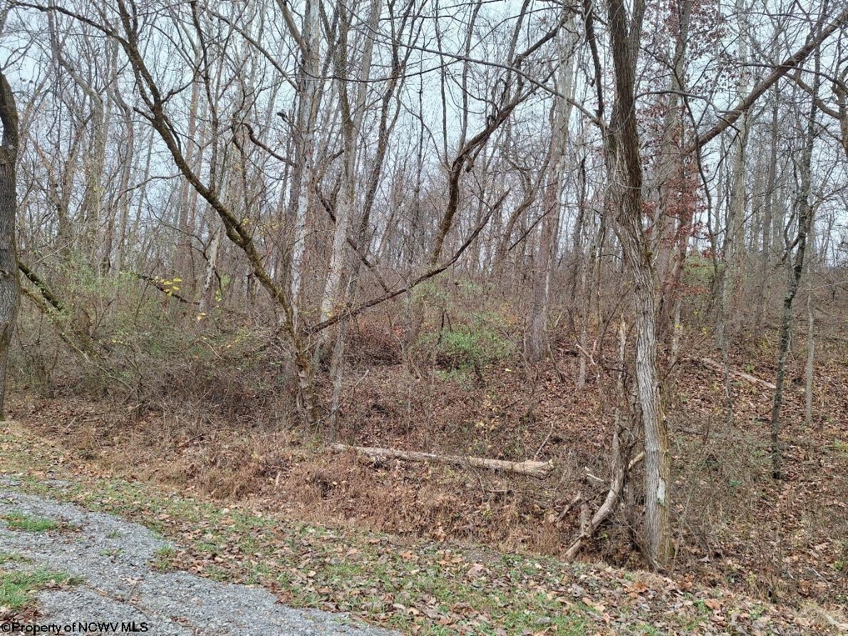 Tbd Jack Run Road Bridgeport, WV 26330 - Photo 10 of 19 Gallery Image 10