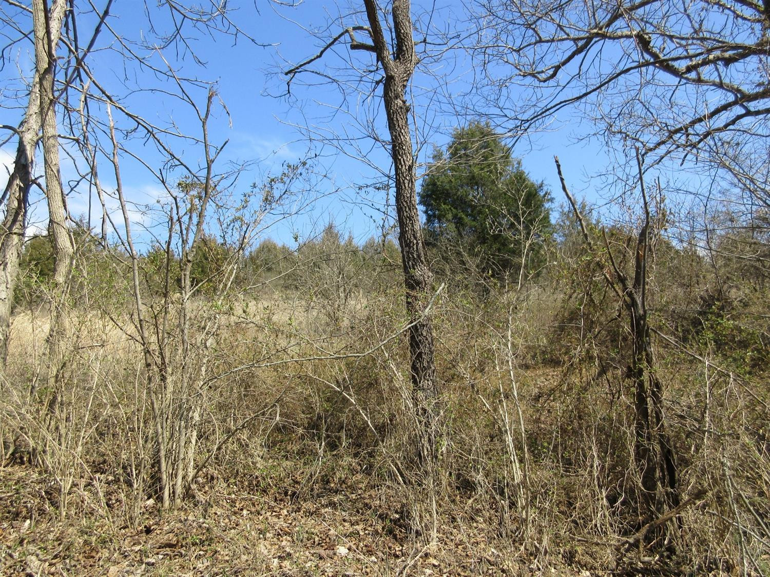 2305 Cole Road Winchester, KY 40391 - Photo 7 of 8 Photo 7