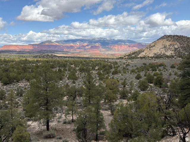 2196 East Teasdale Road Teasdale, UT 84773 - Photo 20 of 57