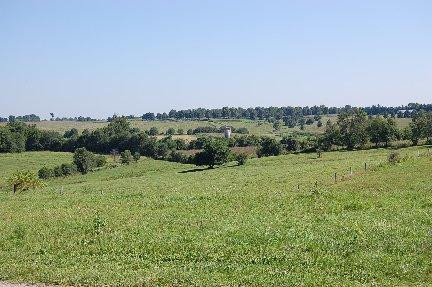 353 Stoney Point Road Paris, KY 40361 - Photo 3 of 16 Photo 3