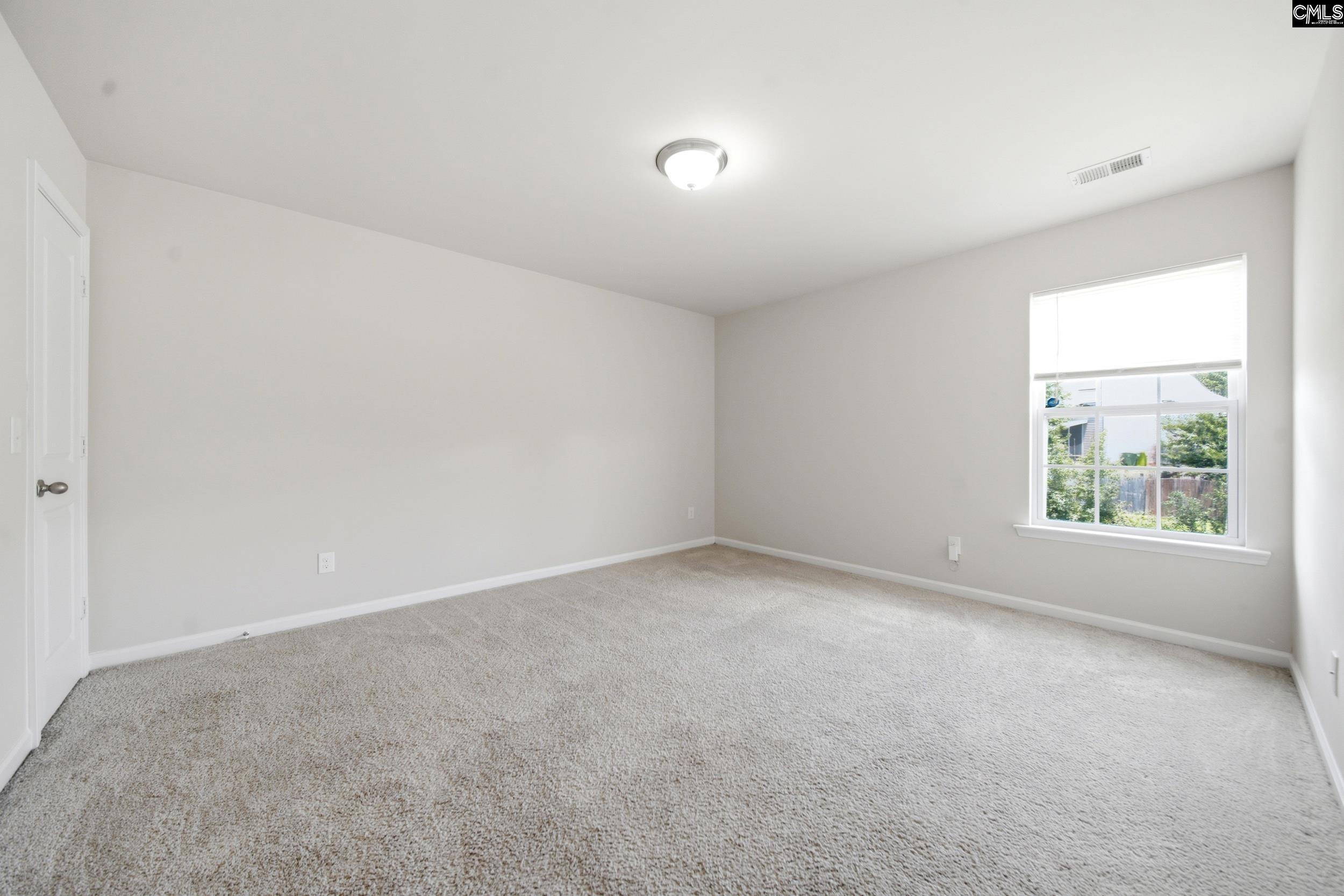 384 Explorer Drive Chapin, SC 29036 - Photo 18 of 32
