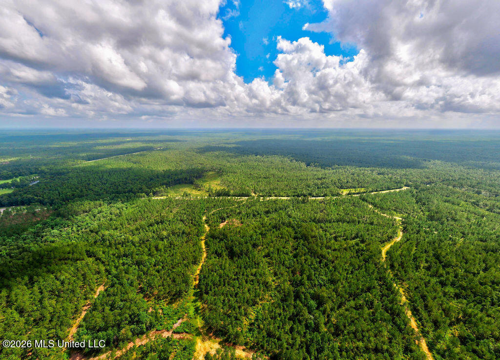 Nhn Lot 2 Nhn Road Saucier, MS 39574 - Photo 13 of 87 HiddenCreekEstates-11