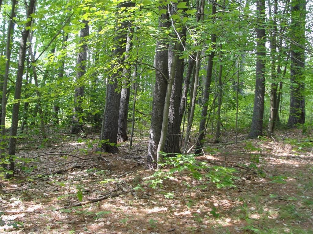 0 South Bridgton Road Bridgton, ME 04009 - Photo 4 of 11 Photo