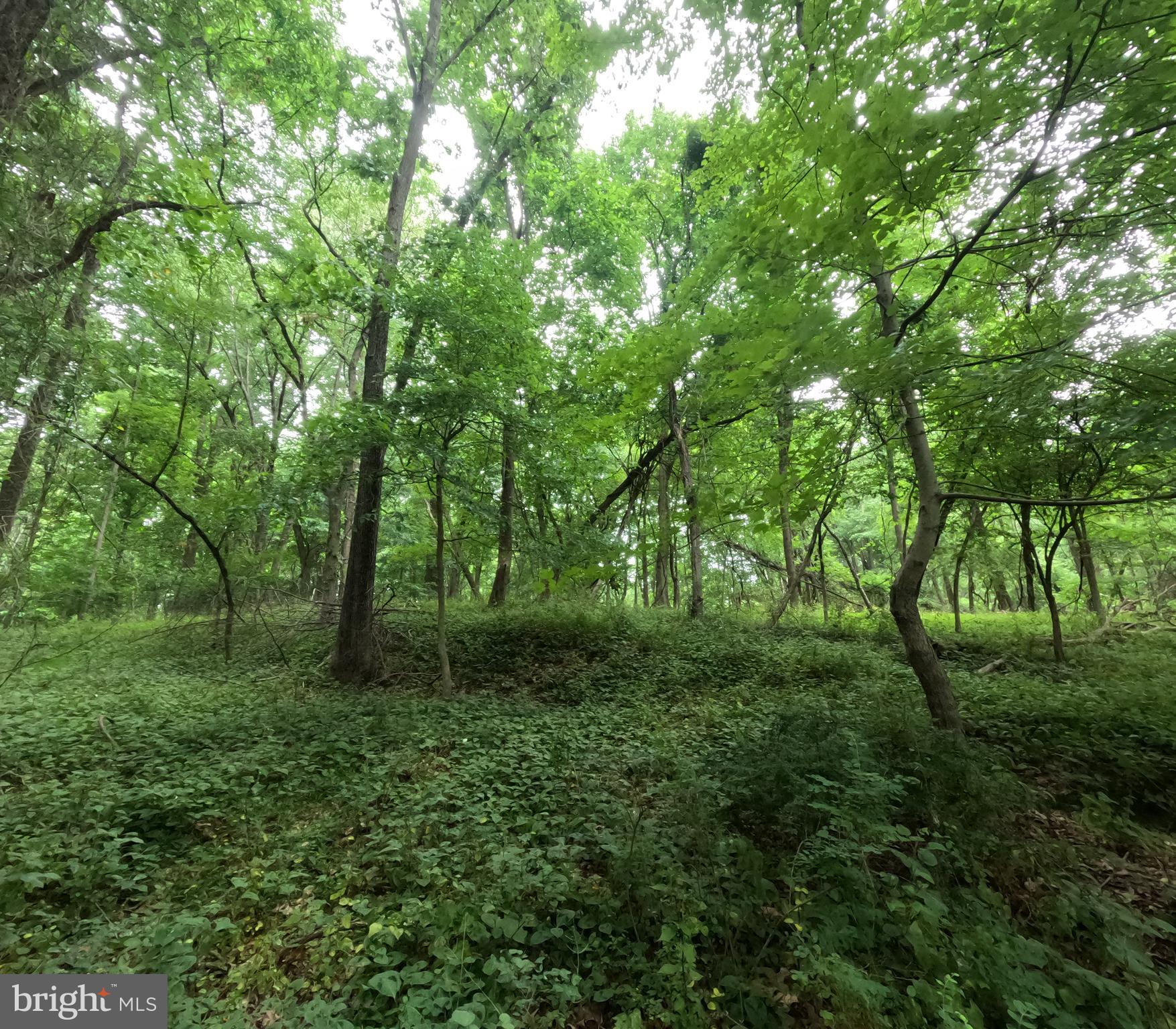 15600 Radwick Lane Silver Spring, MD 20906 - Photo 14 of 19 Gallery Image 14