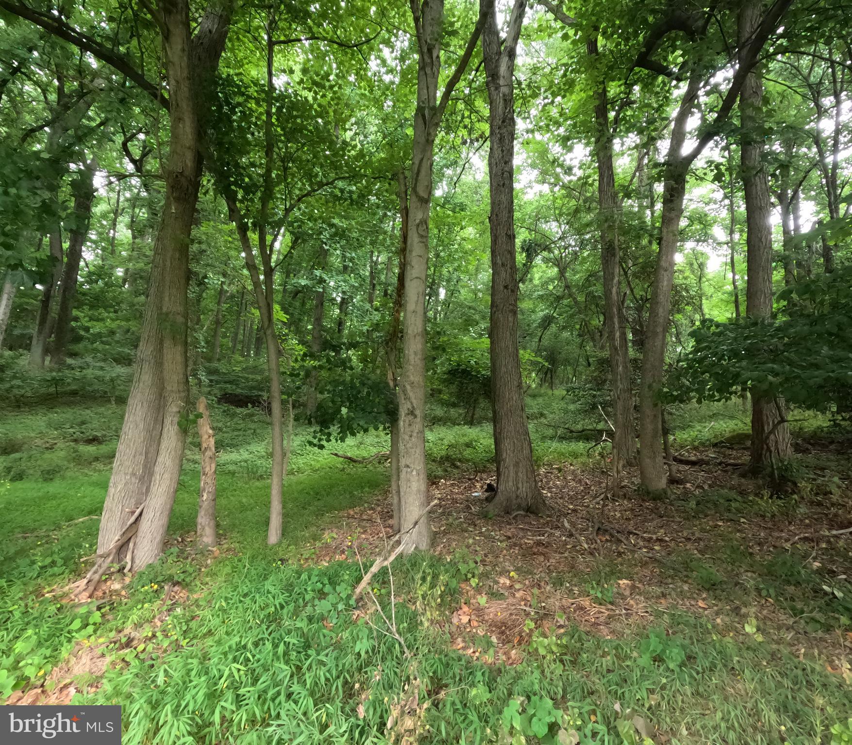 15600 Radwick Lane Silver Spring, MD 20906 - Photo 16 of 19 Gallery Image 16