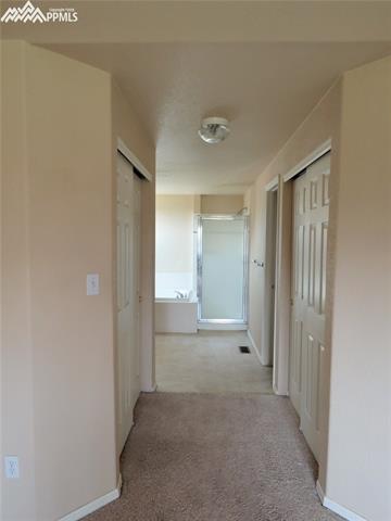 12249 Rio Secco Road Peyton, CO 80831 - Photo 15 of 28 His & Hers Closets