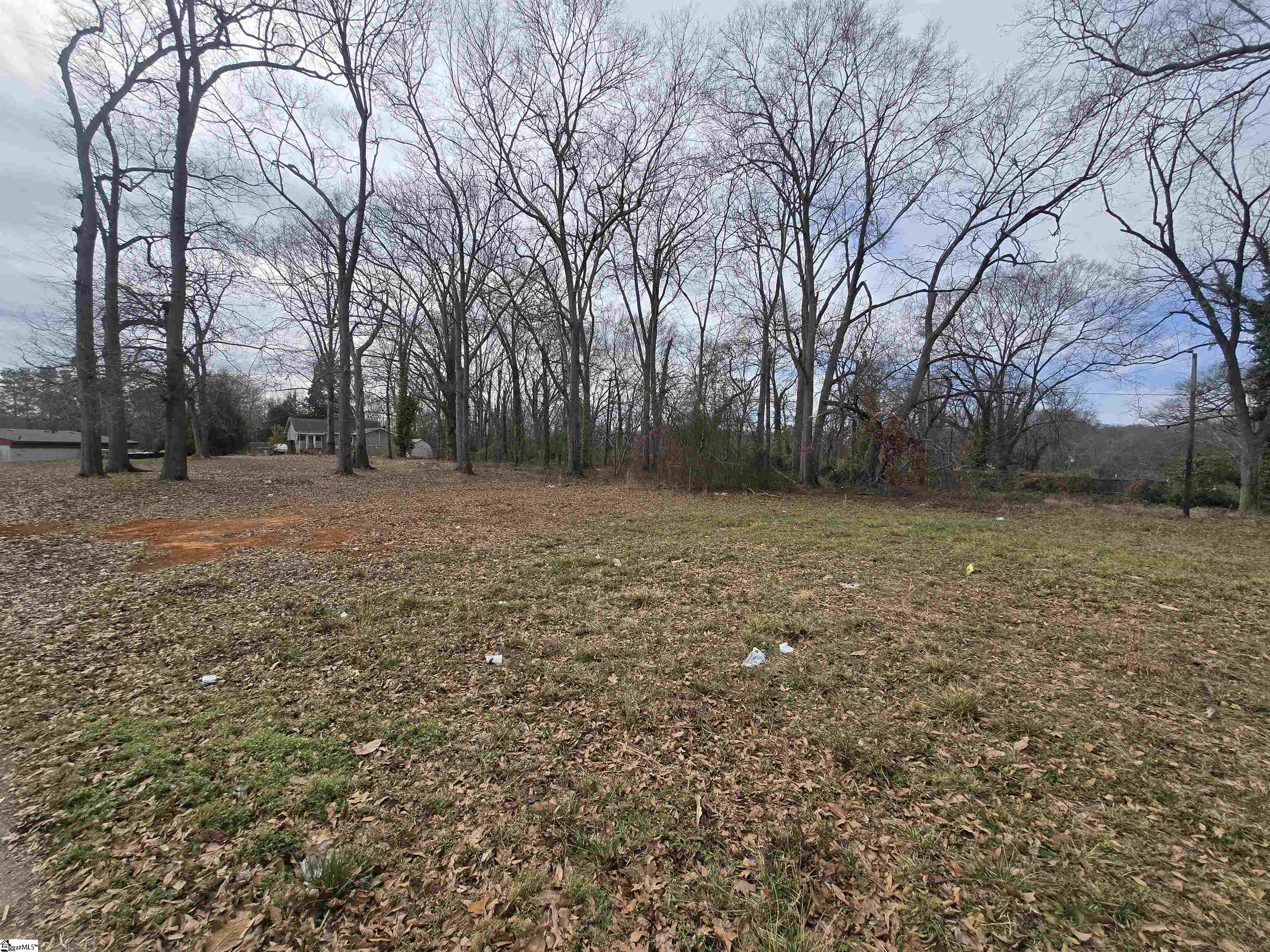 562 Hugh Street Spartanburg, SC 29301 - Photo 3 of 4