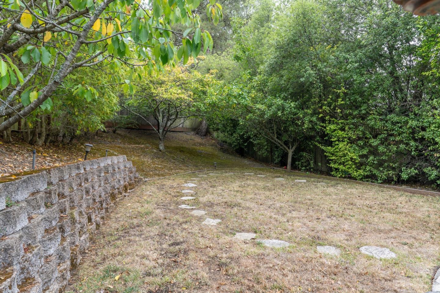 815 Cape Breton Drive Pacifica, CA 94044 - Photo 56 of 65 a view of a yard with plants and trees