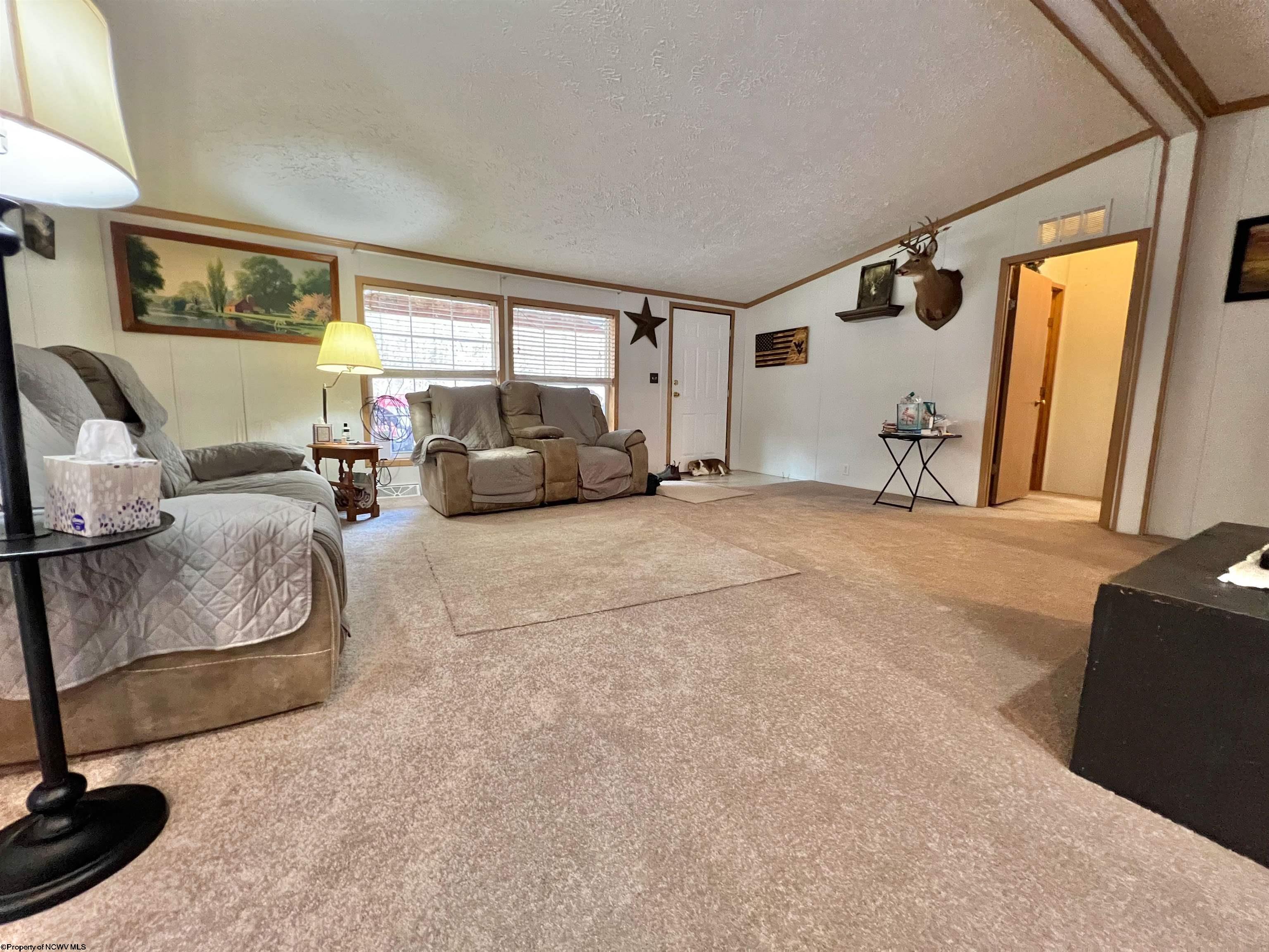 7040 Corley Caress Road Sutton, WV 26601 - Photo 10 of 45 Gallery Image 10