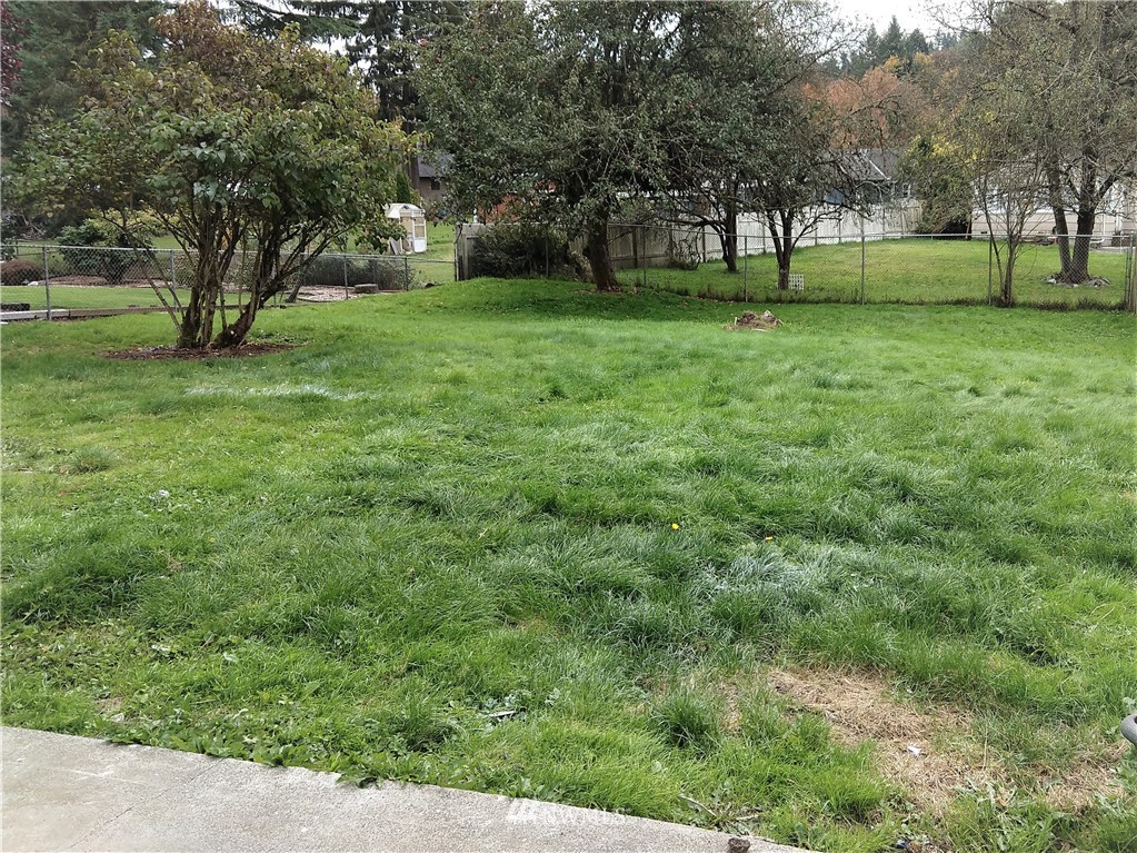 3201 Southeast 5th Street Renton, WA 98058 - Photo 17 of 17 a view of a trees in a yard