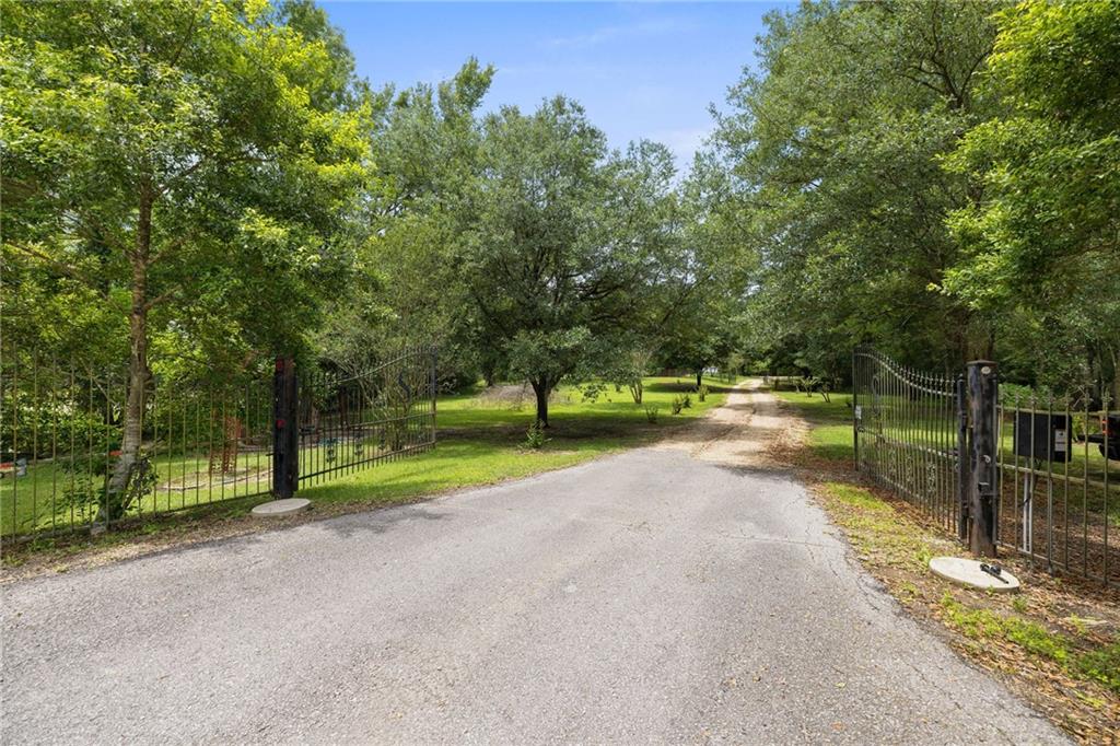 25447 Juban Road Denham Springs, LA 70726 - Photo 3 of 38