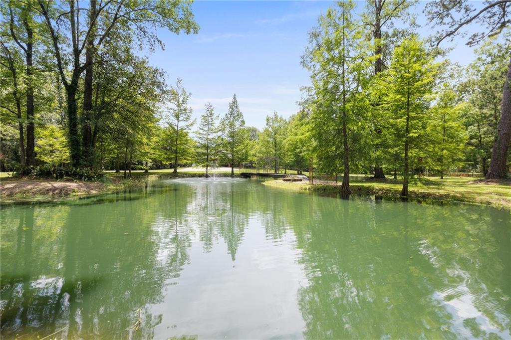 25447 Juban Road Denham Springs, LA 70726 - Photo 35 of 38