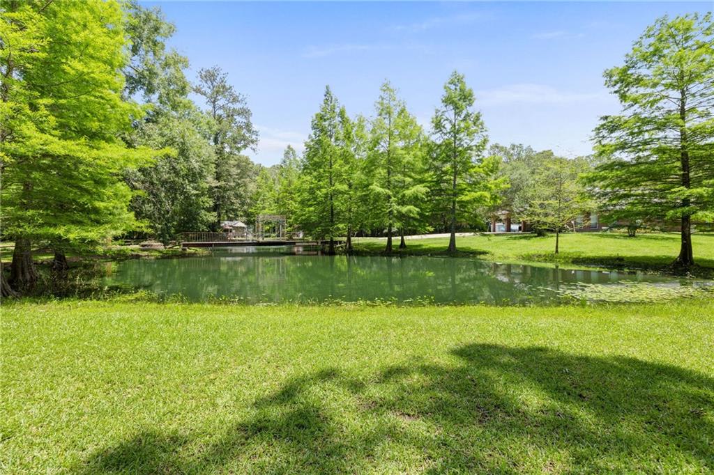 25447 Juban Road Denham Springs, LA 70726 - Photo 36 of 38